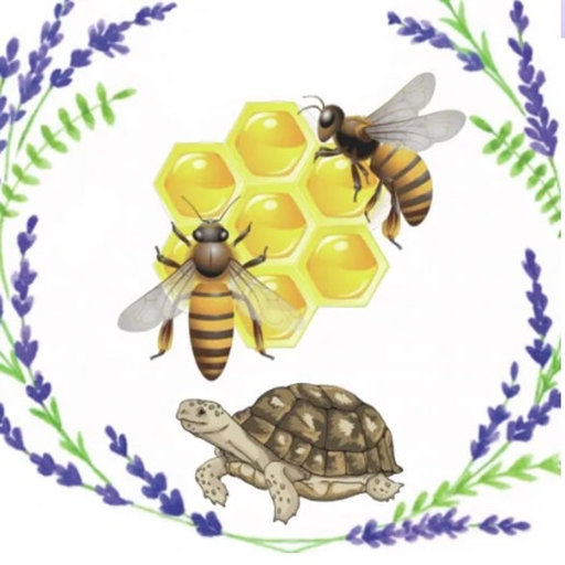 Turtle Bee Honey